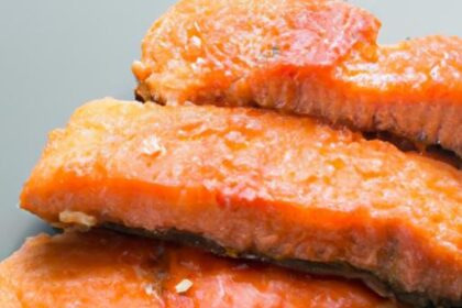 Crispy & Healthy: Top Salmon Air Fryer Recipes to Try Today
