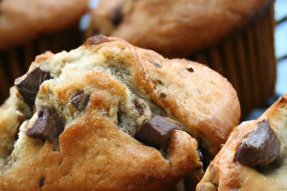 Bite-Sized Bliss: The Ultimate Guide to Mini Chocolate Chip Muffins